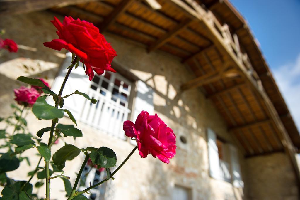Le Poutic Gite Et Maison D'Hotes Creon-d'Armagnac Buitenkant foto